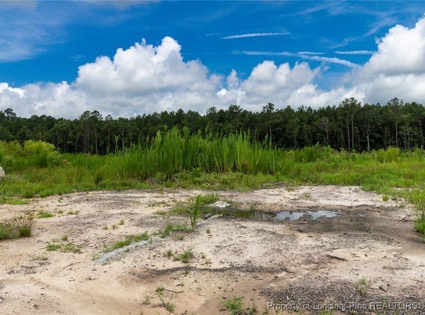 Meadow Road, Lumberton, NC 28358