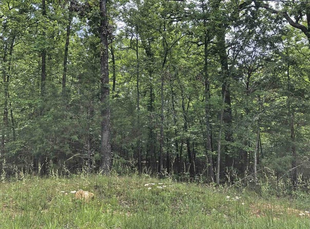 Okmulgee Drive, Cherokee Village, AR 72529