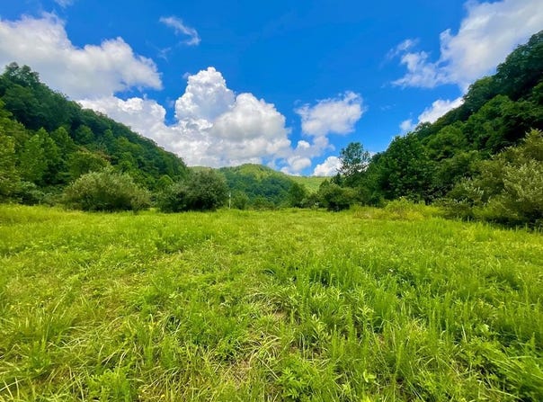 0 Left Fork Marshalls Branch, McRoberts, KY 41537