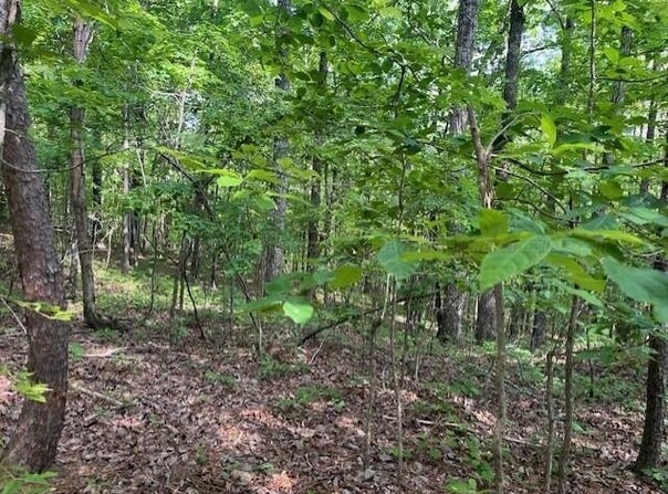 UNDERWOOD FERRY Rd, Quinton, AL 35130