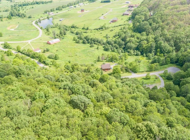 43 SMILEY FACE LANE, MC HENRY, MD 21541