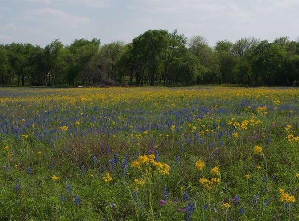 1527 County Road 412, Stockdale, TX 78160