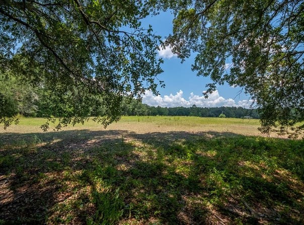 000 Griffin St, Bainbridge, GA 39817