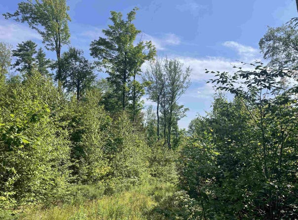 63 New Boston Road, Francestown, NH 03043