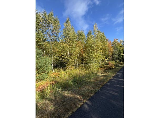 Pine Grove Lane lot: #13, Etna, ME 04434