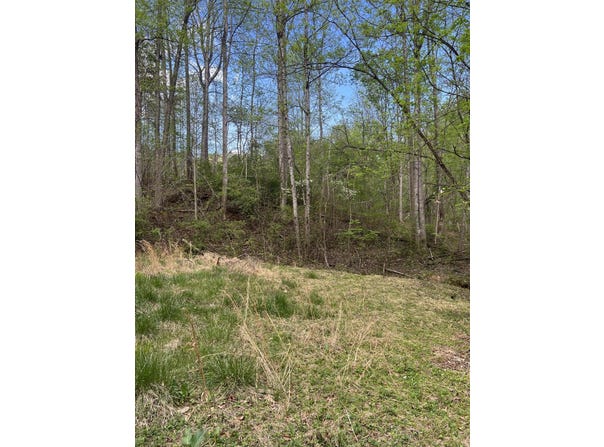 332 Terrace Rd, Boones Mill, VA 24065