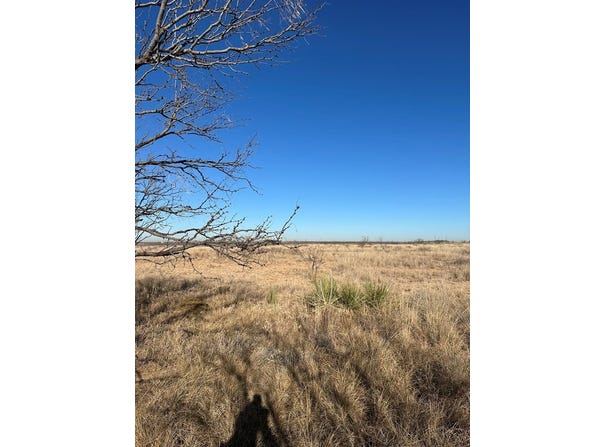 Round Top Road, Snyder, TX 79549