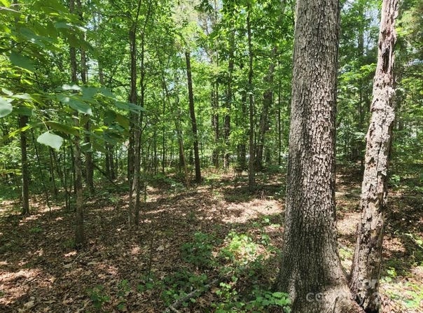 Pilgrim Forest Drive lot: 22-23, Wesley Chapel, NC 28110