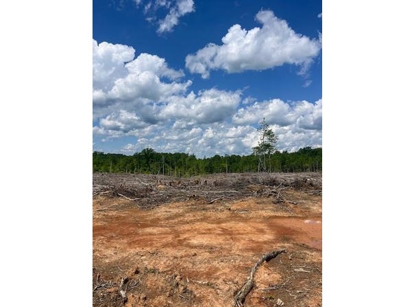 Germantown Road lot: 0, Keysville, VA 23947