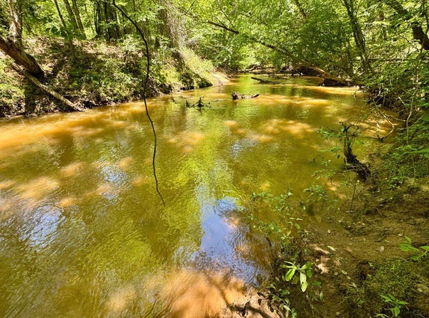000 Private Rd Berry Road, Valley Grande, AL 36701