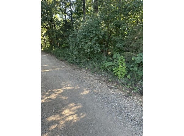 0 Ripley 21N-4, Doniphan, MO 63935
