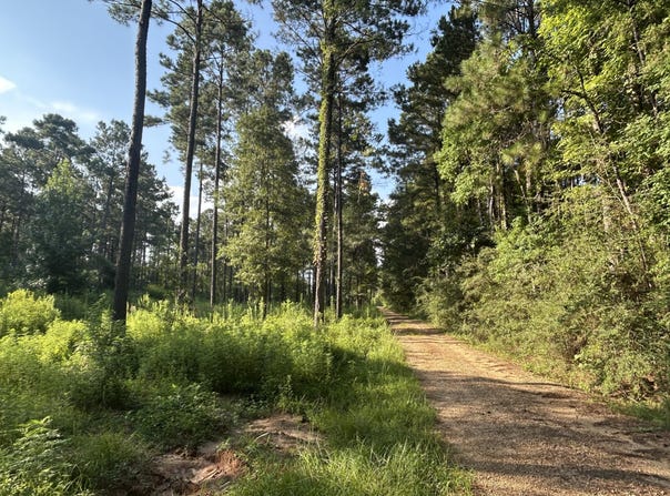 64 Dewey Smith Rd., Lumberton, MS 39455