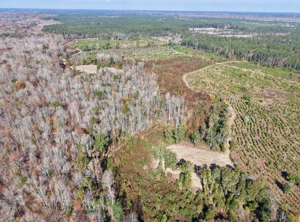 Altman Road, Hampton, SC 29924