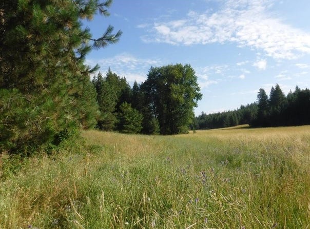 Lot 1 SW Moose Ridge Way, Loon Lake, WA 99148