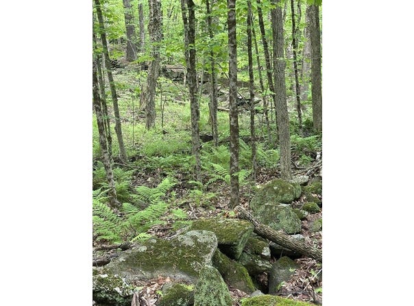 0 South Royalston Rd, Royalston, MA 01368