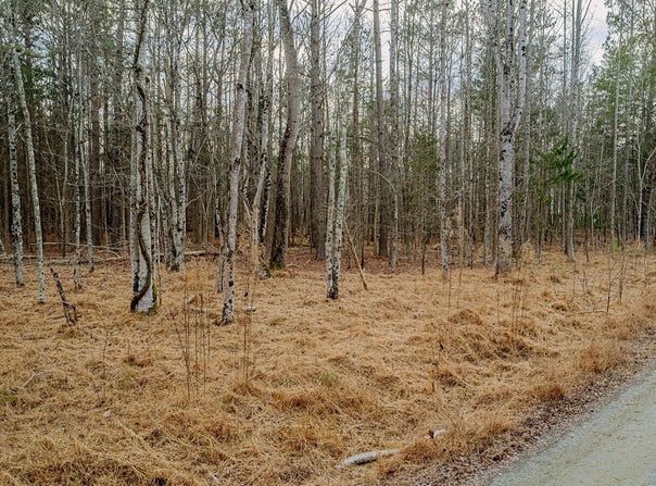 Tbd Northpointe Farms Trail, Efland, NC 27243