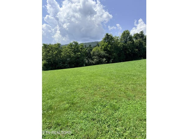 Mountain Perkins Lane, Jacksboro, TN 37757