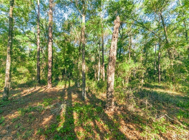 5282 S Robert Blake Avenue, Inverness, FL 34452