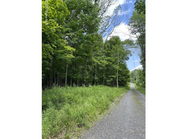 L11 C Buel Road, Conesville, NY 12076