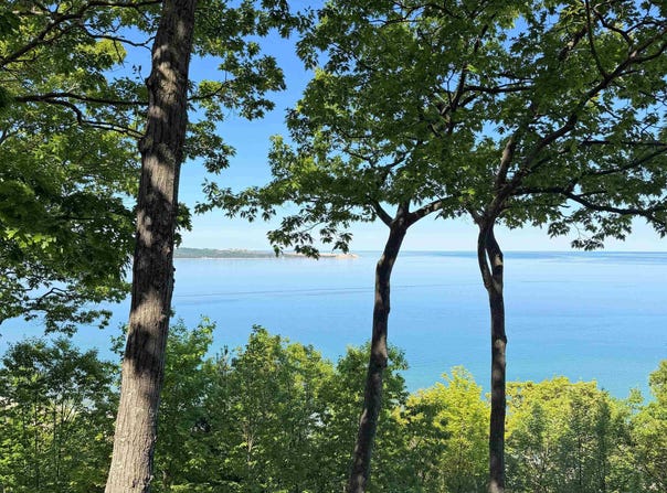 9 Ridge Top, Glen Arbor, MI 49636