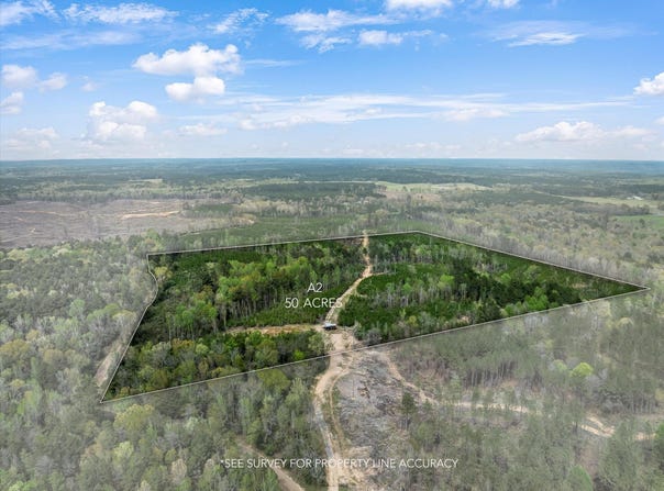 Parcel 2 Stephens Cemetery Rd., Silver Creek, MS 39663