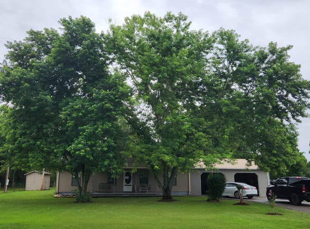 128 Reed Wade Road, Batesville, AR 72501
