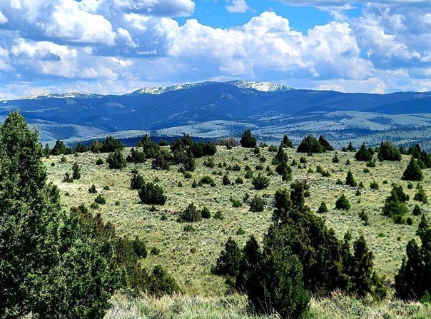 Alder, MT 59710