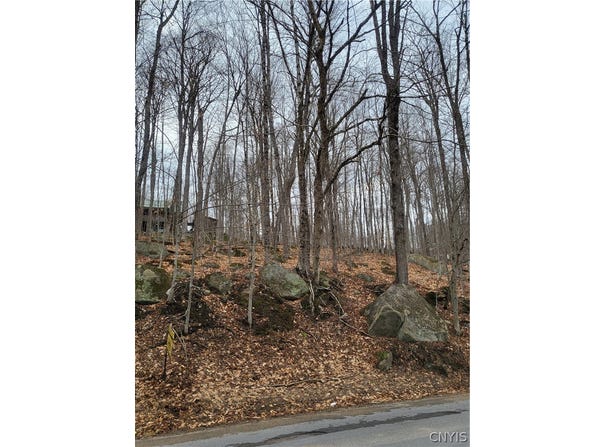 Hollywood Road, Old Forge, NY 13420