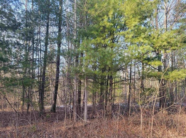 1090 Frank Street, Beaverton, MI 48612