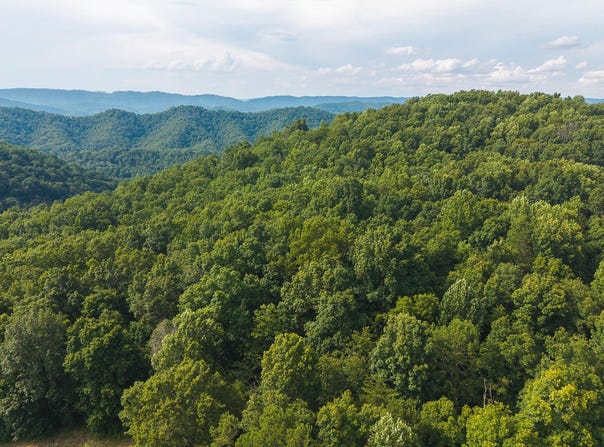 Gravely Valley Road, Eidson, TN 37731