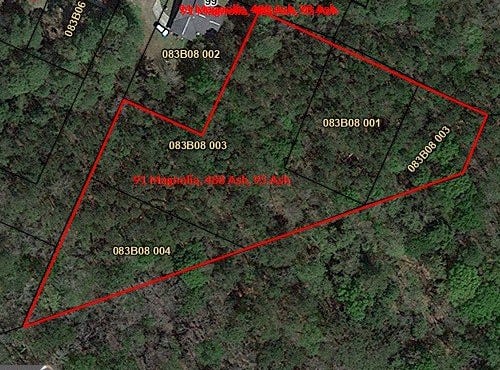 91 W Magnolia, Kingsland, GA 31548