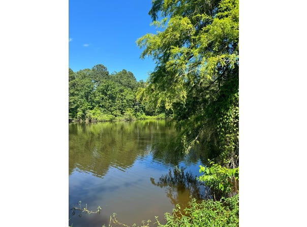 0  White Perch Ln., Zwolle, LA 71486