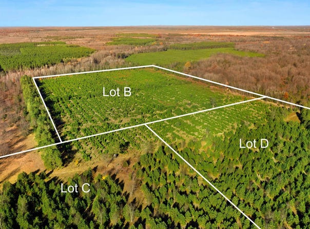 15 ACRES C WALLIN ROAD, THOMPSONVILLE, MI 49683
