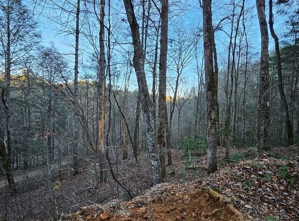 3409 Flagpole Road, Ellijay, GA 30540