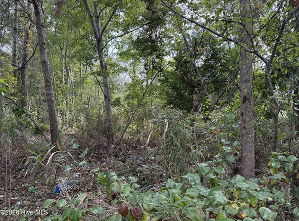 Parcel A Haywood Smith Road lot: Parcel A, Hertford, NC 27944