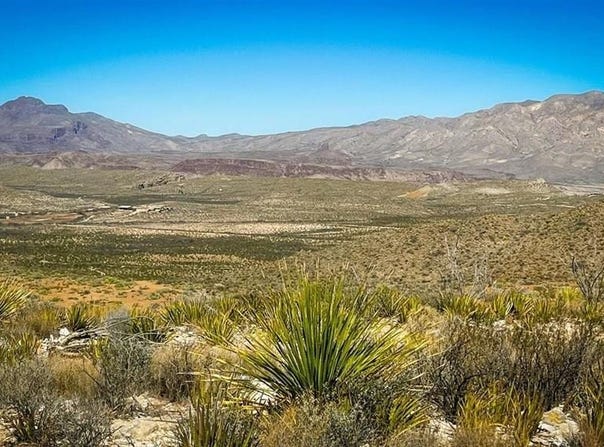 21419 Garnet Ave, Terlingua, TX 79852