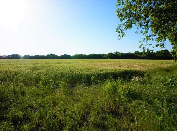 168 AC FM 156, Sanger, TX 76266