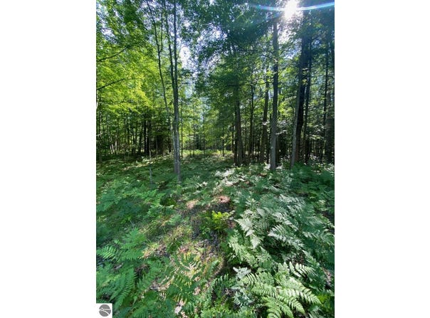 2569 E Wildwood Trail, Mikado, MI 48745