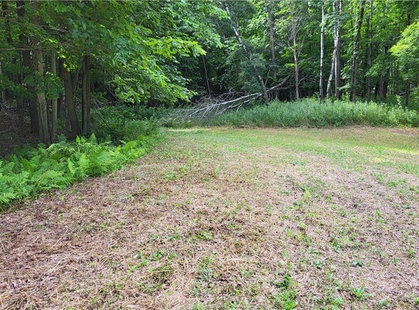 1560 Hines Lakeview Drive, Cumberland, WI 54829
