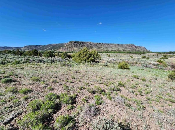 Conejos River Trails lot: 10, Antonito, CO 81120