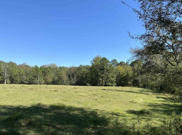 E HWY 70, Glenwood, AR 71943