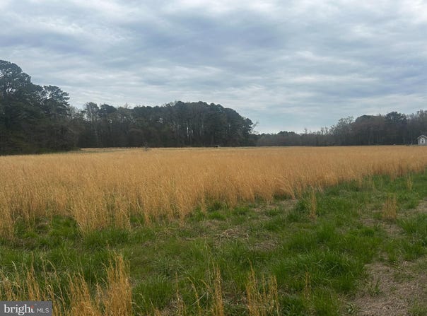 0 QUAIL, SALISBURY, MD 21804