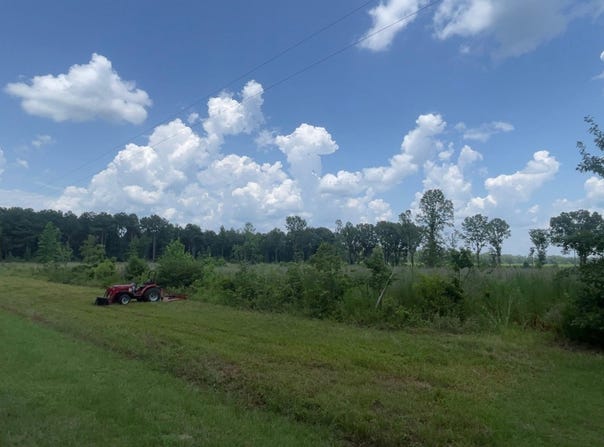 Monticello, AR 71655