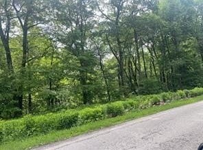Lot # 87 Laurel Summit Road, Jenner Twp, PA 15531