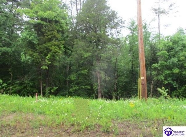 Lots 18 & 19 Brier Creek Road, Mammoth Cave, KY 42259