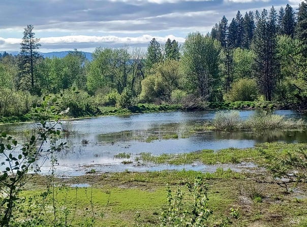 00 Peaceful Pines Rd, Council, ID 83612
