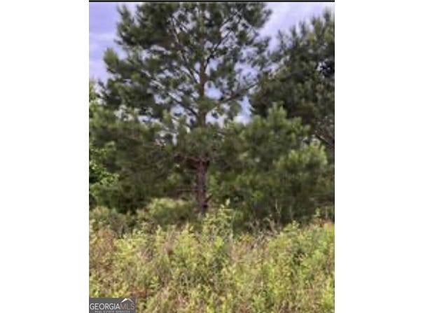 0 Sandy, Hawkinsville, GA 31036