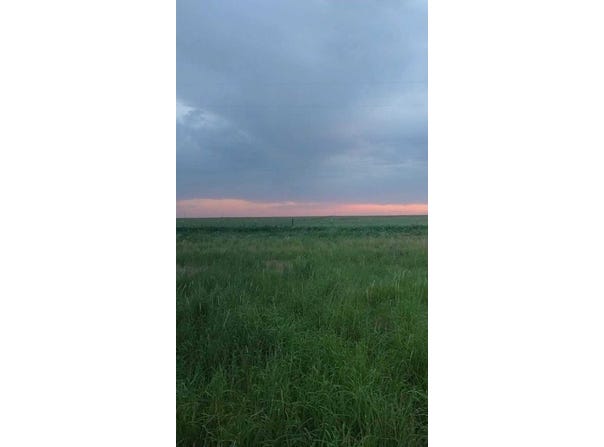 17010 N County Road 1000, Shallowater, TX 79363