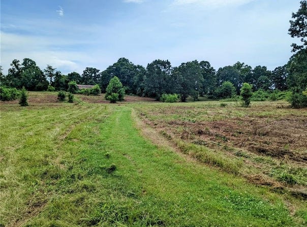 Florence  ST, Bergman, AR 72615