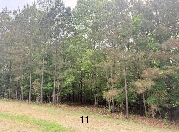 10 Point Lane (Lot 11), Monticello, AR 71655